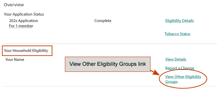 View Other Eligibility Groups link on the dashboard